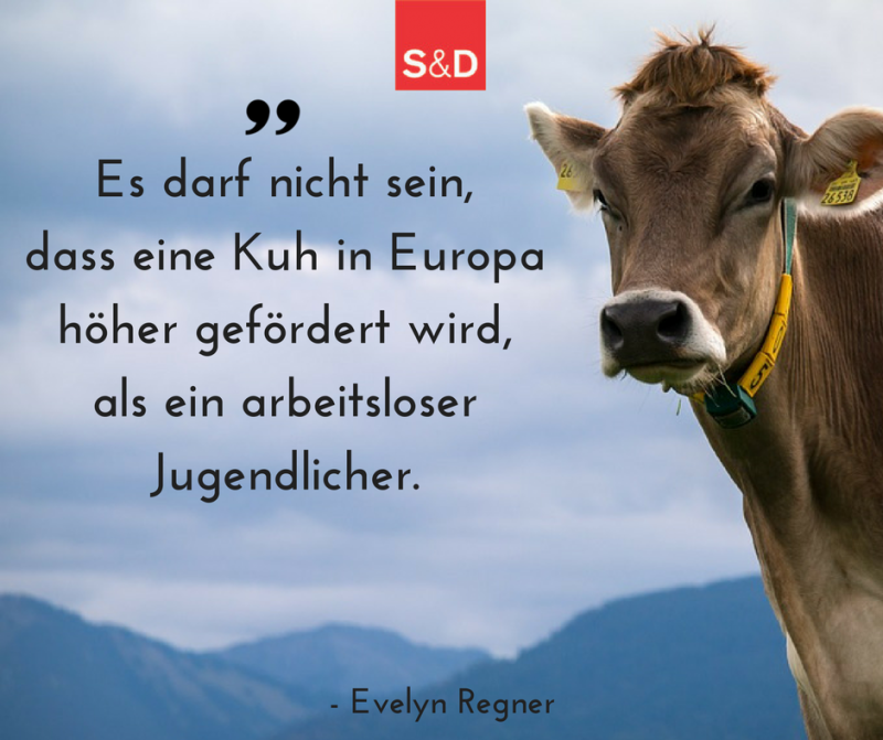 Regner: Wir dürfen Kühe nicht mehr fördern als arbeitslose Jugendliche!