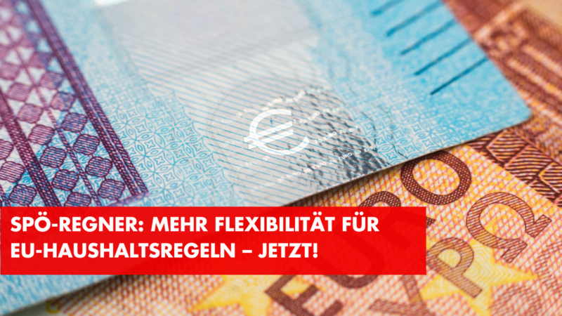 Mehr Flexibilität für EU-Haushaltsregeln – jetzt!
